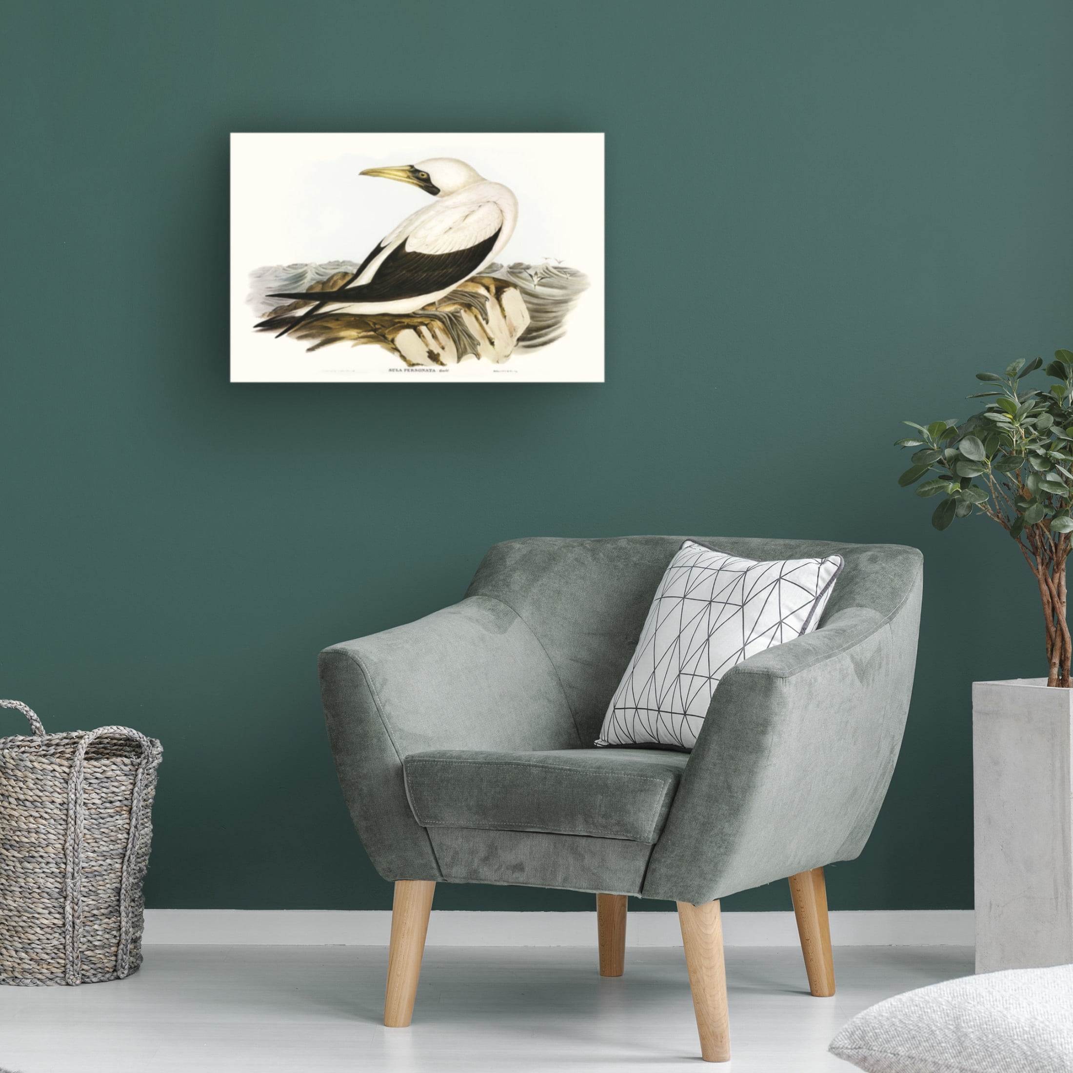 Trademark Fine Art Elizabeth Gould Majestic Waterbird VI Canvas Wall Art