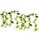 thumbnail image 1 of 2 piezas de plantas verdes colgantes, 1 of 3