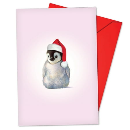 'B6726BXSG Zoo Babies Christmas Cards' Box Set of 12 Hilarious Merry Christmas Notecards with Envelopes by