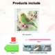 thumbnail image 5 of 5D DIY Kit Con Forma Especial Parcial Loro 30x30cm, 5 of 9