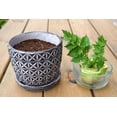 thumbnail image 2 of Gardenera Labs Premium Celery Potting Soil Mix - Optimal Nutrient-Rich Blend for Thriving and Crisp Celery Plants - 1 Quart, 2 of 3