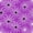 Violet White, variant on Feelyou Spooky Spider Web Twin Sheets, Halloween Bat Animal Bedding, Pink Black, 3 Pieces, 1 Flat Sheet, 1 Fitted Sheet and 1 Pillowcase