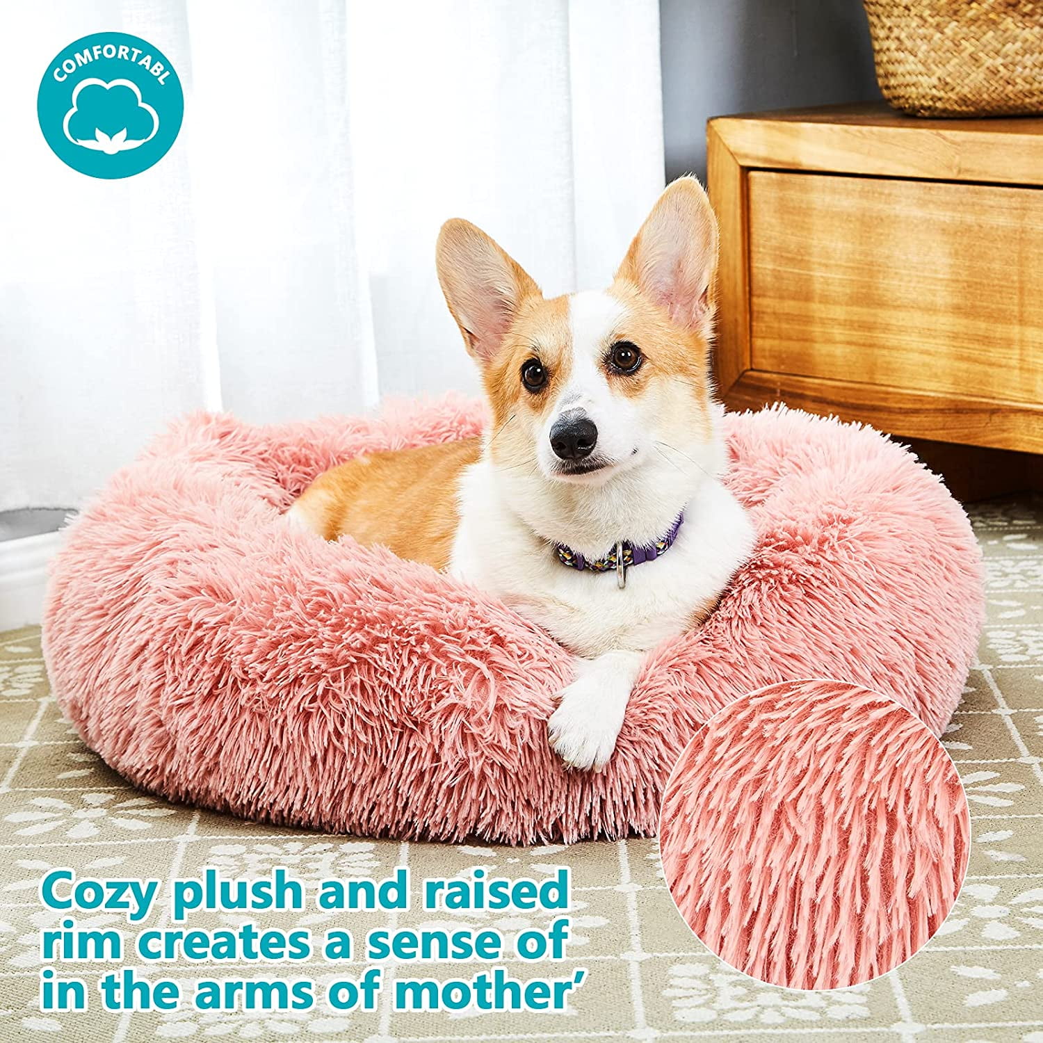 How Can I Clean My Dogs Bottom