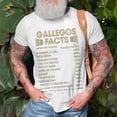 thumbnail image 3 of Gallegos Name Gift Gallegos Facts Unisex Jersey Crewneck Tshirt, 3 of 6