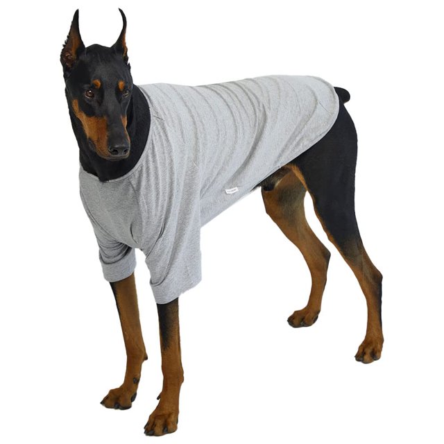 Lucky Petter Camisa Para Perros Pequeños, Camisetas Lisas, Suave Y Transpirable, Camisa De Algodón Para Perros, Ropa Para Mascotas (Xl Gris)