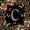 Brown Black C, variant on Catabedysis Personalized Letter Gifts Twin Sheets,Classic Cheetah Alphabet Z Bedding For Girls,3pcs,1 Fitted Sheet and 1 Pillowcase