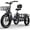 C16-Grey, variant on Electric Bicycle for Adults, Three Wheels EBike, 48V 20.8 Ah Detachable Battery, 20inch Bike with Basket, Comment Beach Men Women All Terrain, One Year Warrenty