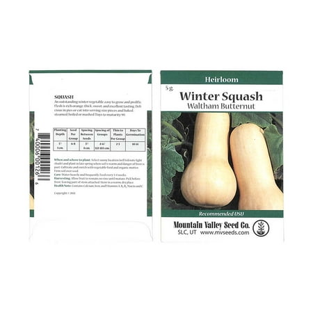 Waltham Butternut Winter Squash Garden Seeds - 5 g Packet - Heirloom, Non-GMO - Vegetable Gardening Seed - Butter