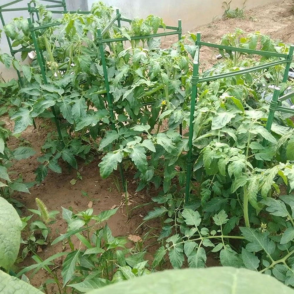 Create a Perfect Support System with 36PCS Plant Stake Arms for Tomato Cage