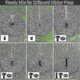 thumbnail image 3 of Solar Fountain Pump Solar Water Pump Solar Water Pump For Birdbaths, 3 of 3