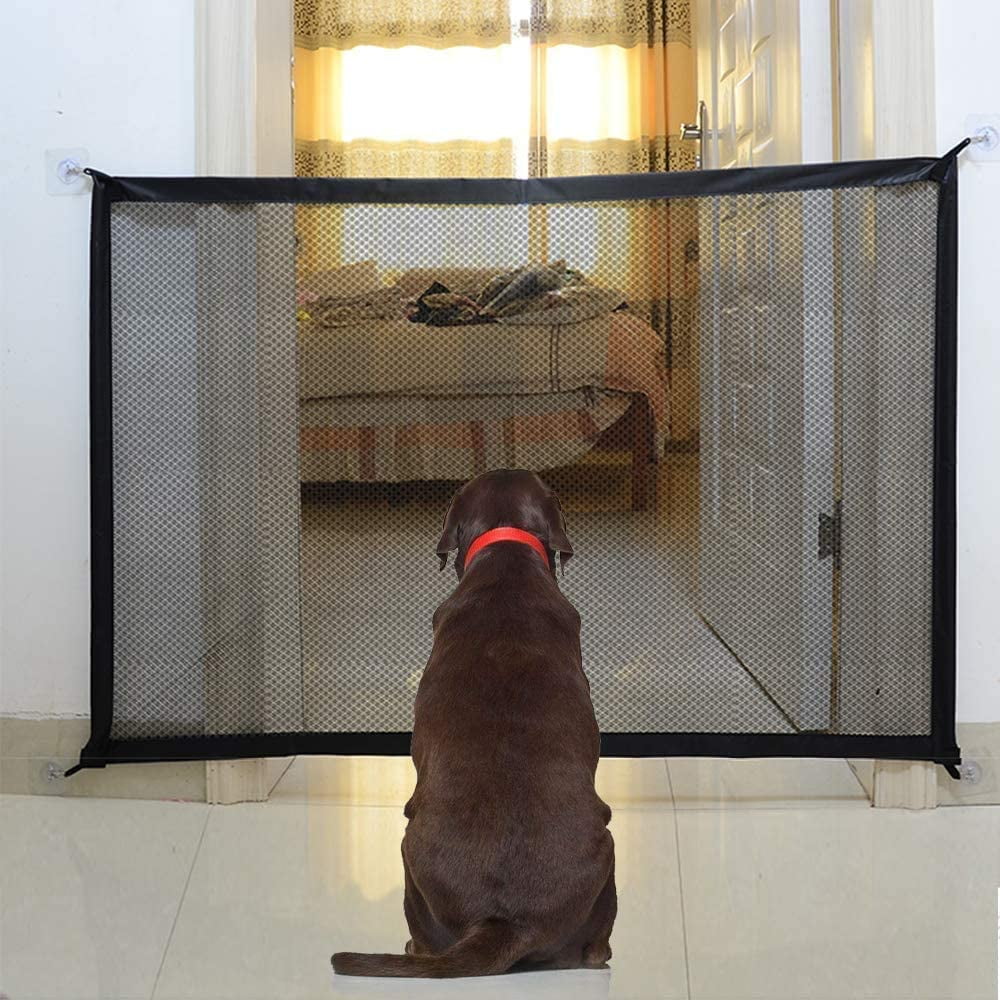 Dog barrier 2025