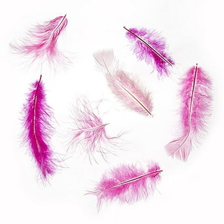 Jewel Adds Create a cute pin for your shawl or hat with these pink marabou feathers. Add ribbon and a gem to the pin for a complete piece. ()