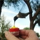 thumbnail image 5 of Methold Paquete de 2 ventosas, accesorios de jardín de fácil agarre, artesanía, comedero de colibrí, estante, suministros para mascotas, herramienta Type3 NO3 Methold PT002156-00, 5 of 5