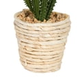 thumbnail image 5 of Vickerman FO197501 Assortiment de Succulentes en Pot 5 Po. Cactus, 5 of 5