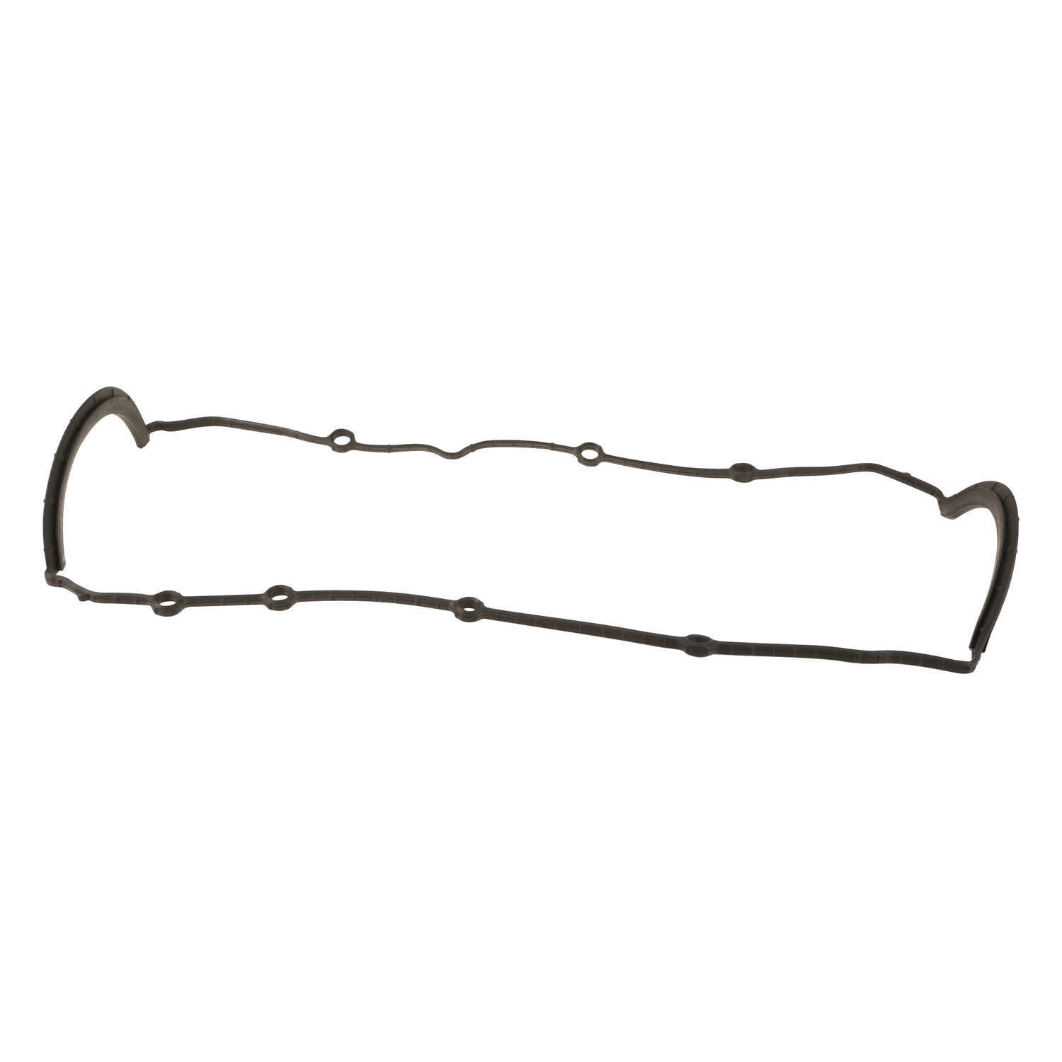 Engine Oil Pan Gasket