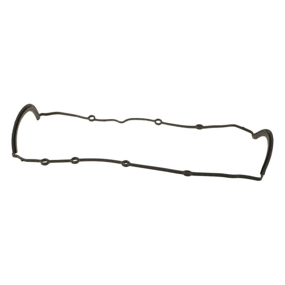 Engine Oil Pan Gasket