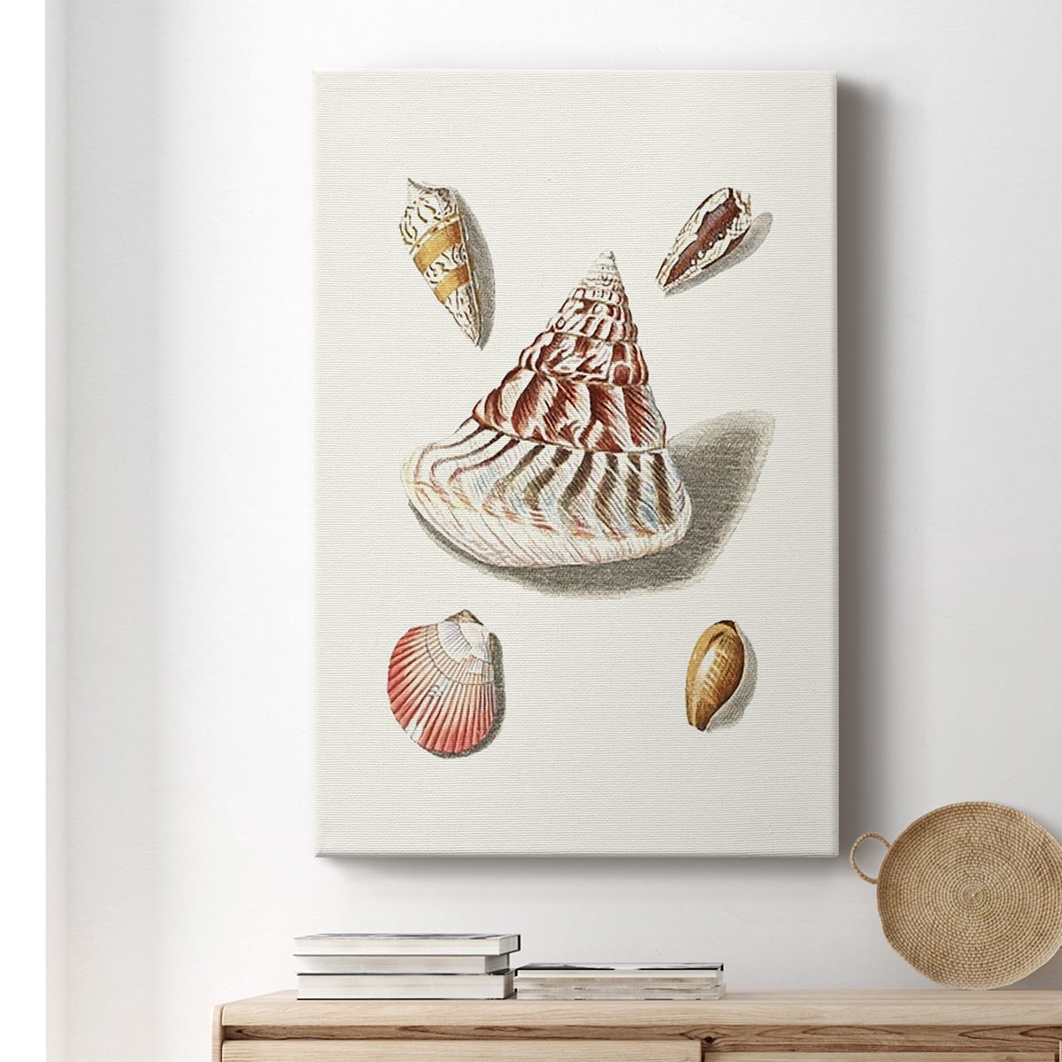 Pastel Knorr Shells VII Premium Gallery Wrapped Canvas - Ready to Hang