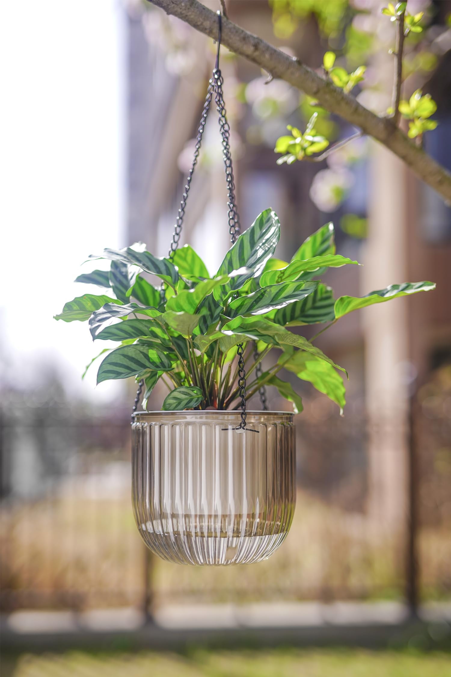 2 Pack Self Watering Hanging Planters 6.5 Inch Indoor Outdoor Flower Pots with Drainage Holes and Hooks for Garden Home Decor