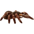 thumbnail image 4 of The Petting Zoo Tarantula Stuffed Animal, Gifts for Kids, Wild Onez Zoo Animals, Tarantula Plush Toy Sitting 12 inches, 4 of 7