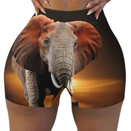 Workout Shorts Women  Elephant Sunset in Kenya Biker Shorts for Women Running Gym Spandex Shorts Tummy Control