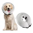 thumbnail image 1 of Collar Inflable De Recuperación Isabelino Para Perros Y Gato, 1 of 8