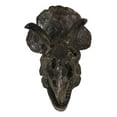 thumbnail image 2 of Faux Taxidermy Replica Triceratops Dinosaur Head Fossil Small Skull Figurine, 2 of 9