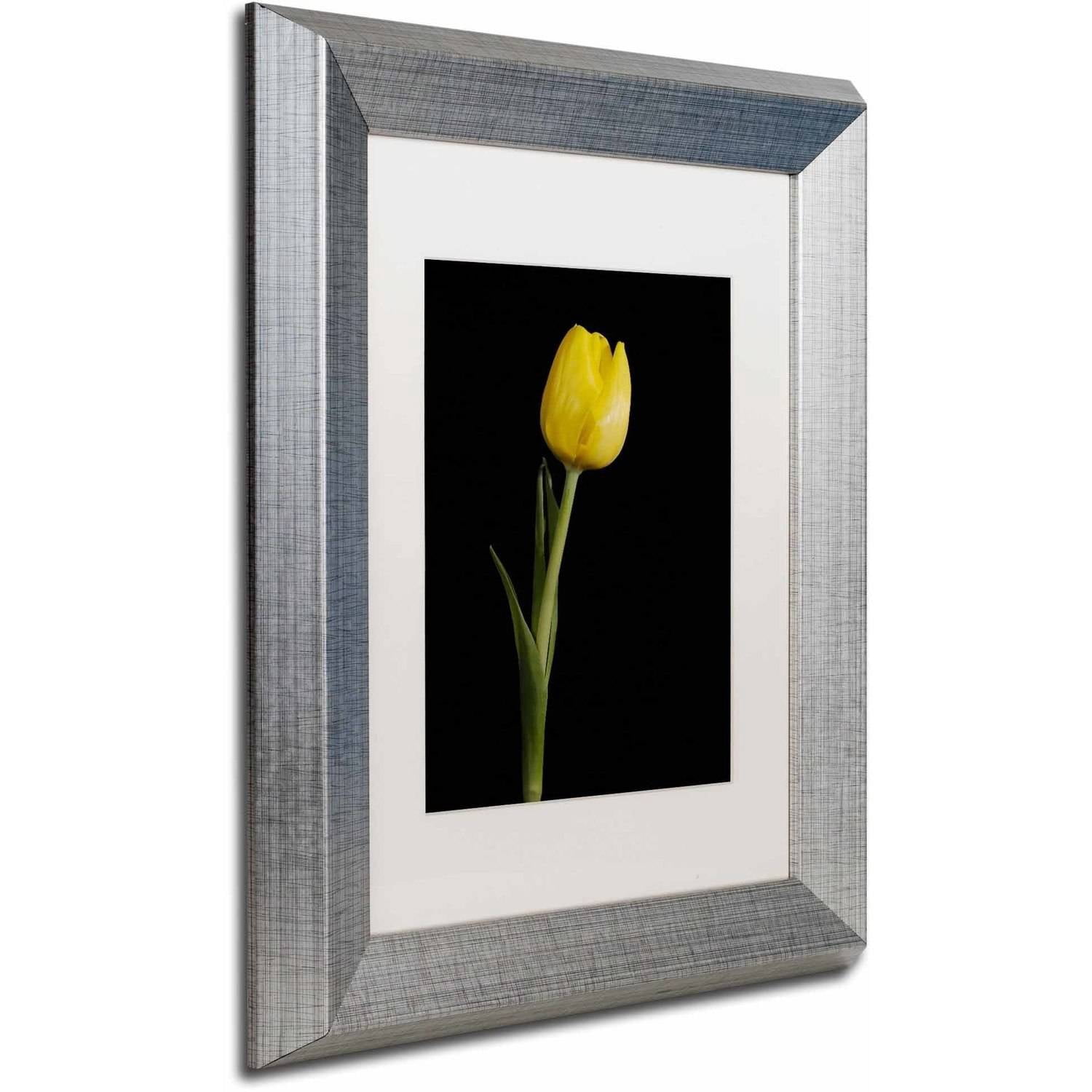 Trademark Fine Art 'Yellow Tulip Black Background 5' Canvas Art by PIPA Fine Art, White Matte, Silver Frame