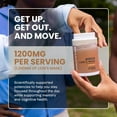 thumbnail image 5 of Charlotte's Web Focus Support Mushroom Gummies for Focus and Energy w/Lion’s Mane, Natural Cognitive Support Lions Mane Gummies for Adults — Tangerine Flavor (30 Servings), 5 of 9