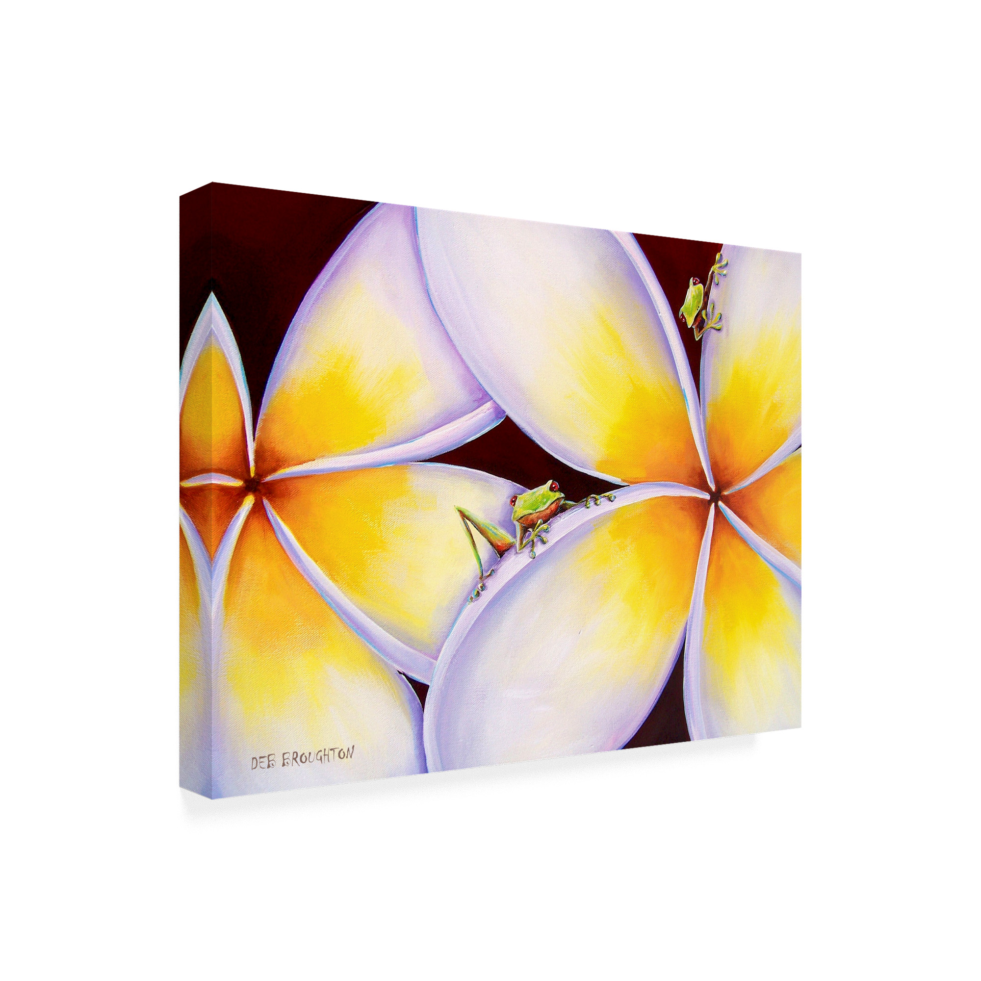 Trademark Fine Art 'Frogs Frangifrogs' Canvas Art by Deborah Broughton