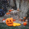 thumbnail image 3 of Tope de puerta de calabaza Zulema decoración de calabaza antideslizante 8,1 cm x 8,9 cm x 16 cm, 3 of 8