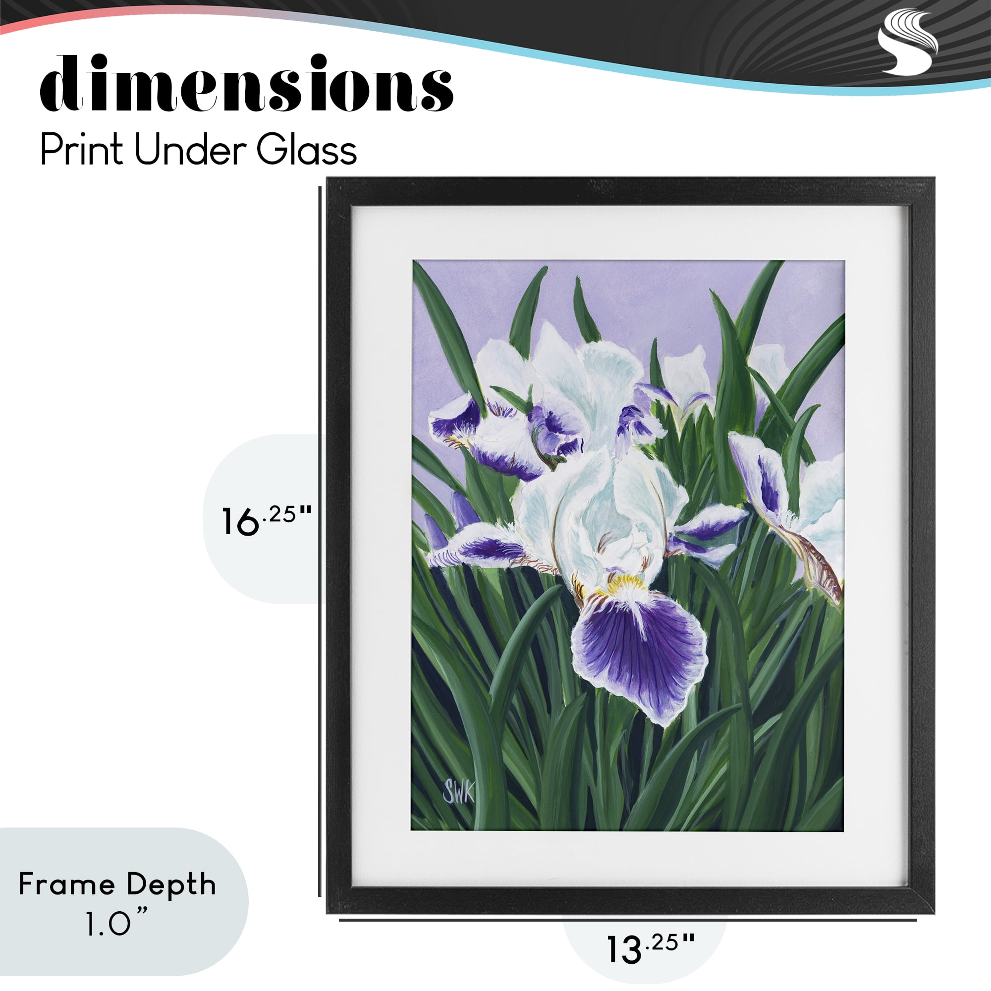 Stupell Industries Purple & White Irises Black Framed Print Under Glass, design by Sarah Waldron Kimball