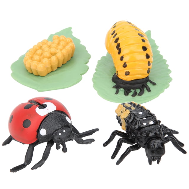 Juguete modelo de insecto modelo de insecto de simulación no tóxico inodoro inofensivo para niños ANGGREK Otros
