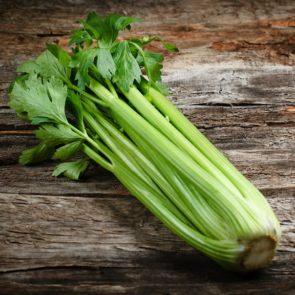 Celery Seeds - Golden Self Blanching - 0.25 Oz ~16,250 Seeds - Apium graveolens - Farm & Garden Vegetable Seeds - Non-GMO, Heirloom, Open Pollinated, Annual