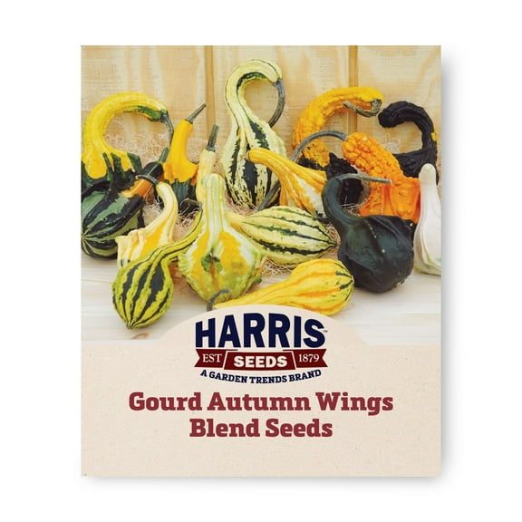 Harris Seeds - Treated Gourd Seeds - Autumn Wings Blend Variety - Non-GMO - Winged Bulb - 25 Seeds