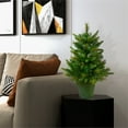 thumbnail image 2 of Vickerman 24" Cashmere Pine Artificial Christmas Tree Unlit, 2 of 3