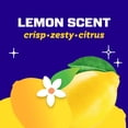 thumbnail image 3 of Mr. Clean Clean Freak Lemon Scent Antibacterial Multi-Purpose Bath Cleaner, 16 Fl oz, 3 of 5