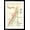 Black Frame, variant on Art.com Map of French Bourgogne Wine Country Art Print, 12" x 18"