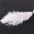 thumbnail image 1 of 40 Piezas Blanco Avestruz Natural Pluma 20-25cm Boda DIY, 1 of 5