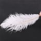 thumbnail image 1 of 60 Piezas Blanco Avestruz Natural Pluma 20-25cm Boda DIY, 1 of 5