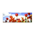 thumbnail image 2 of Gango Home Decor Contemporary Tulips in the Sun I by Alan Hausenflock (Printed on Paper); One 36x12in Fine Art Paper Giclee Print, 2 of 4