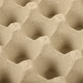 thumbnail image 4 of 5 bandejas de cartón para huevos de pulpa de papel, 30 unidades, estuche protector reutilizable, 4 of 8