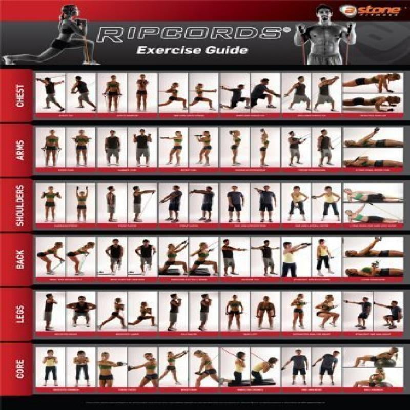 Long Resistance Tube Exercise Chart