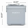 thumbnail image 2 of Igloo 11 Quart Tag Along Too Strapped Picnic Style Cooler, Light Gray, 2 of 11