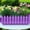 Purple, variant on Fence Shaped Planter Durable Flower Pot Lightweight Window Box for Home Garden Wedding Party Office Decor
