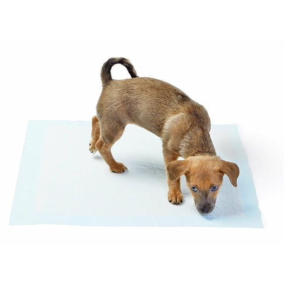 Absorbease Large Disposable Potty Training Puppy Pad, Heavy Absorbency Dog & Pet Pads, 23" x 36" 100 Count