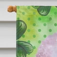 thumbnail image 3 of Carolines Treasures BB9891CHF White Standard Poodle St Patricks Flag Canvas House Size  Large multicolor, 3 of 4