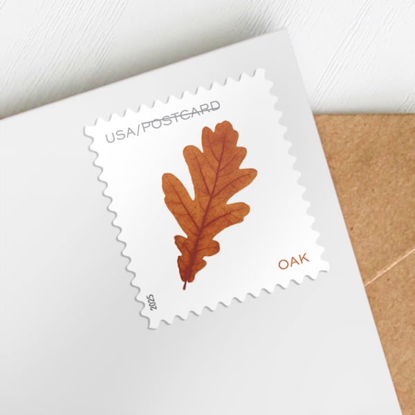 Vibrant Leaves POSTCARD RATE USPS Postage Stamp 5 Sheets of 20 US  display picture 1