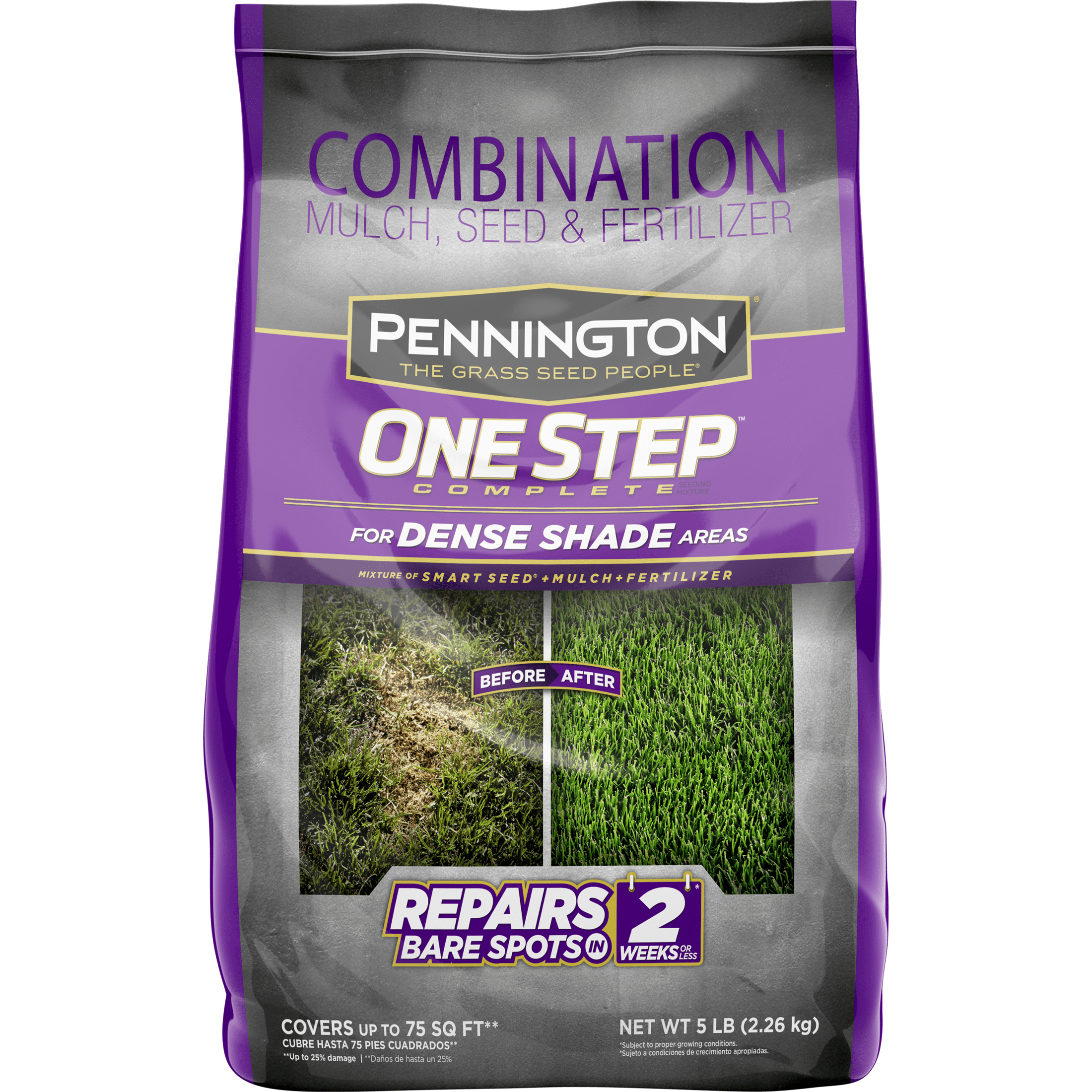 Best Shade Grass Seed sites.unimi.it