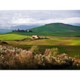thumbnail image 3 of Ratsenskiy, Vadim 18x15 Black Modern Framed Museum Art Print Titled - Tuscan Countryside, 3 of 5