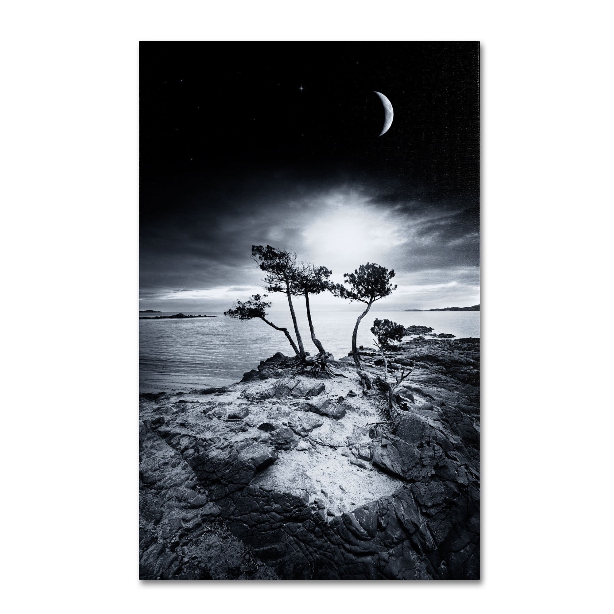 Trademark Fine Art "Emotional High" Canvas Art by Philippe Sainte-Laudy